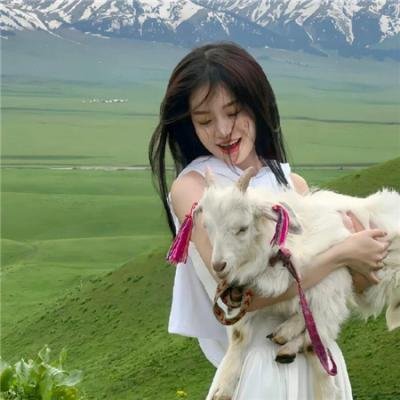 花与爱丽丝